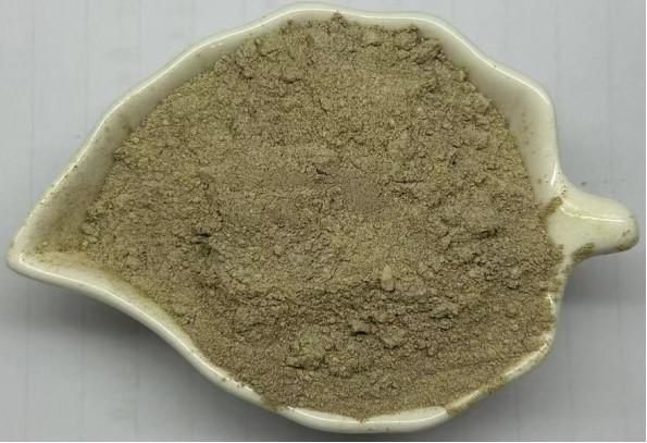 Cheap Single Cell Protein Feed Probiotics Lysine Fermentation Bacterial Protein for sale