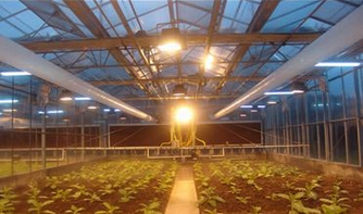 Economical European Polycarbonate Greenhouse with Roof and Side Ventilation Panels