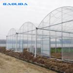 Commercial Poly Tunnel Greenhouse Automated Agriculture Multi Span Greenhouse