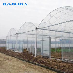 Quality Strong Structure Heavy Duty Plastic Greenhouse / Plastic Tomato Greenhouse wholesale