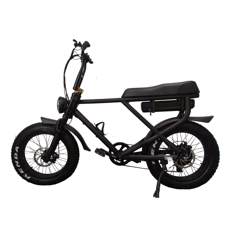 2022 Electric Fat Tyre Bike Mountain Adult Electric Bicycle 20 Inch Wheel Size 7 Speed