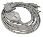 Burdick Ek10 EKG Cable 10 Leads Banana 4.0 End 12 Months Warranty