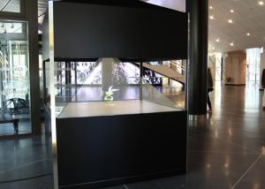 Quality High Resolution 360 Degree Holographic Display Showcase In shop Advertising &amp; Retail wholesale