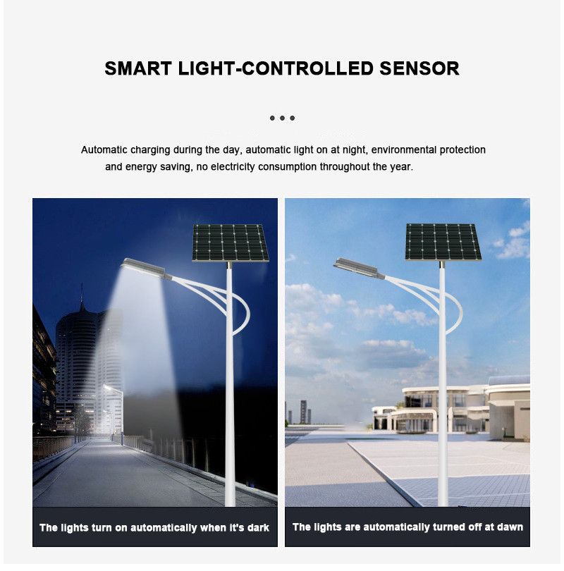 40W-110W Separate Solar Light LED Street Lamp with 18V/100W Monocrystalline Silicon Solar Panel Die Casting Aluminum PC Lens