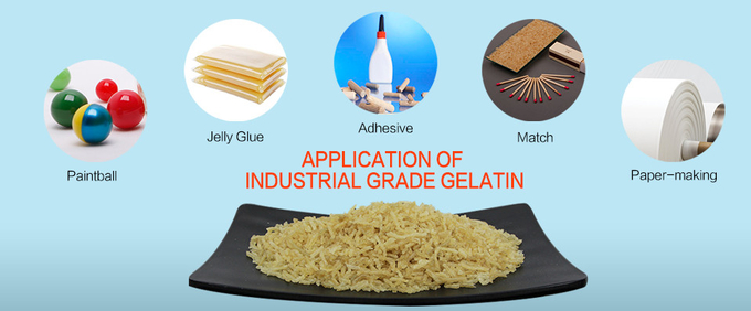 Industrial Grade Gelatin 230 Bloom -520 Bloom Gelatin Raw Material