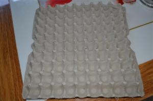 Quality Egg Carton Pulp Molding Machine Egg Tray Machine PLC Control Operation wholesale