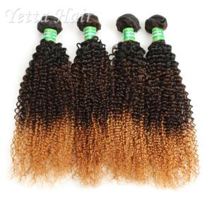 Quality Kinky Curly 100g 7A Brazilian Virgin Hair Three Tone Dyeable wholesale