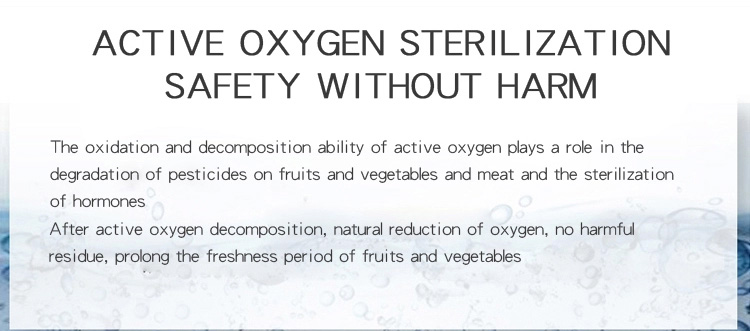 HOMEFISH Commercial Air Purifier Kitchen Use Active Oxygen Fruit And Vegetable Sterilizing Machine 400mg/H