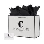 Custom Logo White Jewelry Boutique Shopping Gift Paper Bag for Jewelry Watch