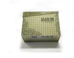 Vintage Printed Rubber Bullet Tins Factory