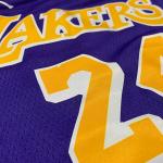 24 NBA Team Jerseys Embodied Purple Orange Striped Basketball Jersey Quick Dry