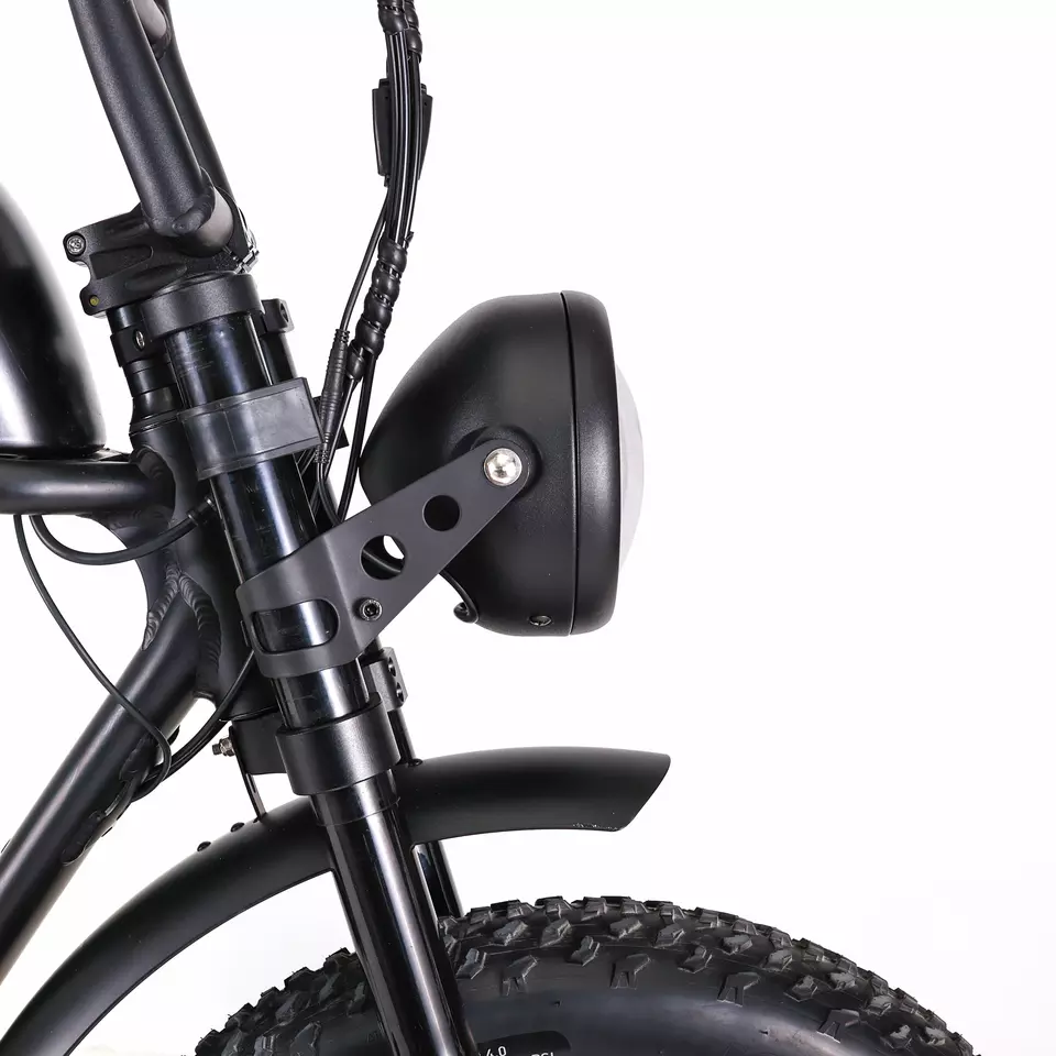 7 Speed Gears Full Suspension Electric Bike with 1000W Motor 1-3 Hours Charging Time