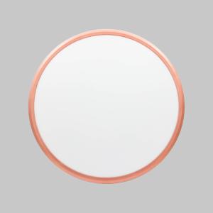 Quality 18w 270mm 4000K Damp Proof LED Ceiling Light Round Shape Shiny Coral Color wholesale