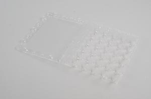 Quality Transparent Egg Packing Box , Plastic Material Disposable Food Containers wholesale