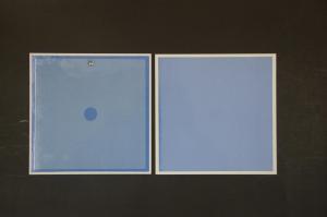 Quality ROSH Ozone Generator Ceramic Plate For Water Treatment / Sewage Treatment wholesale