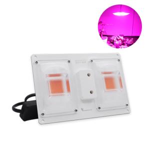 Quality Waterproof Led Light Bar Module wholesale