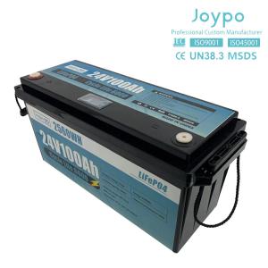 Quality 100Ah 200Ah Lithium Ion LiFePO4 Battery 24 Volt Deep Cycle Battery For RV Campers wholesale