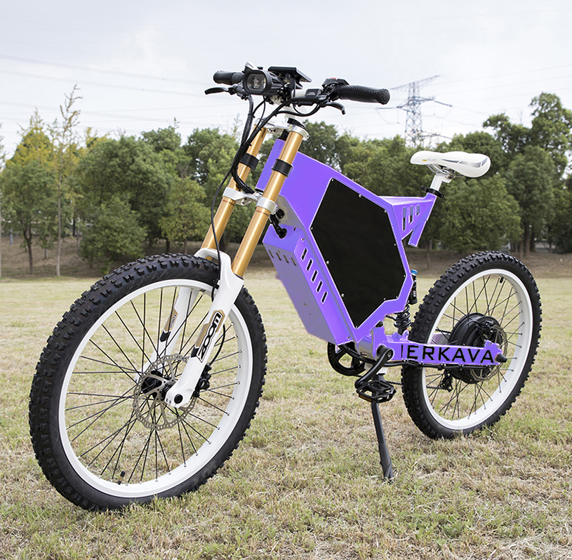 electric adult tricycle from china fatbike 3000w enduro ebike
