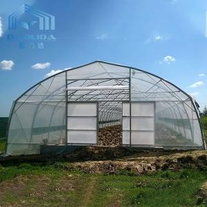 Quality Agricultural Plastic Tunnel Greenhouse Hoop Greenhouse For Growing Vegetable wholesale