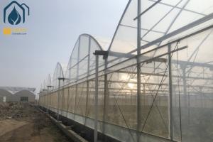 Quality Multi Span Agriculture Greenhouse For Sustainable Crop Cultivation wholesale