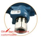 Aluminium Turbine Spare Parts Industrial Pressure Transmitter 4~20mA