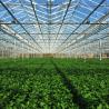 Buy cheap 24 X 24 24 X 18 20x30 Venlo Custom Glass Greenhouse Cover Sides Polycarbonate from wholesalers
