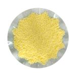 Chicken Flavored Granular Powder Chicken Seasoning Powder