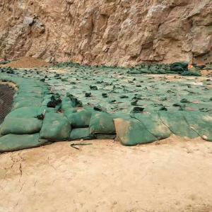 Quality Seawall Geotextile Geobags Polyester Non Woven Geotube Eco Friendly wholesale
