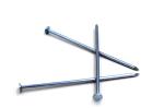 Blue Coated Concrete Nail