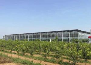 Quality Large Solar PV System Agricultural Glass Greenhouse For Planting Vegetables wholesale