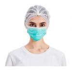 OEM Disposable Blue Earloop Face Mask , Hospital Mouth Mask Non sterile