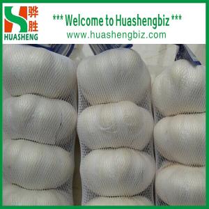 Quality Top Quality Normal White Garlic wholesale