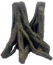 Quality Healthy Terrarium Tree Stump Decorative Reptile Terrarium Background wholesale