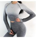 Ombre Seamless Women's Yoga Apparel / Women Gym Clothing Gradient Leggings+Long