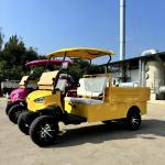 Pointed Two-Seater Electric Cargo Truck Large Capacity Customized Color And LOGO