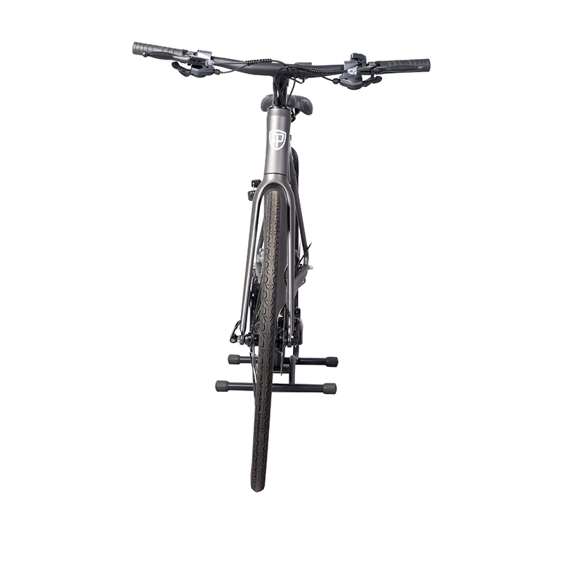 Customized Electric Bicycle DOMANCA Fast Speed E Bike with Range per Power of 31-60 km