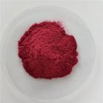 Wholesale Elderberry Powder For Instant Tea Powder
