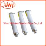 Germany DIN Standard Elsp Bayonet Fuses In Transformers Cbuc23050c100m