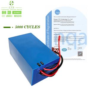 Quality Lithium Ion Battery Pack OEM 12V 24V 36V 48V 60V LiFePO4 Battery For Electric Scoot wholesale