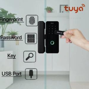 Quality Aluminum Alloy Digital Rim Lock Automatic Biometric Tuya Fingerprint Lock wholesale