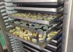 Industrial Alta Food Vacuum Vegetable Freeze Dryer 300Kg