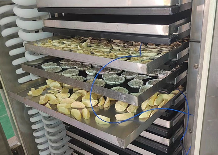 Stainless Steel Construct Vacuum Freeze Drying Machine 100kg/Batch