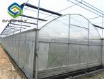 10m Span PE Plastic Shed Film Greenhouses For Agriculture