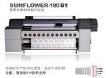 Industrial Textile Inkjet Printers Digital Textile Belt Printer, Fabric Digital