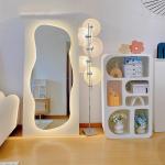 Asymmetrical Backlit Tall Lighted Mirror Floor Length Custom