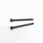 Gamma Intramedullary Nail Fixation Orthopedic Trauma Interlockin Implant