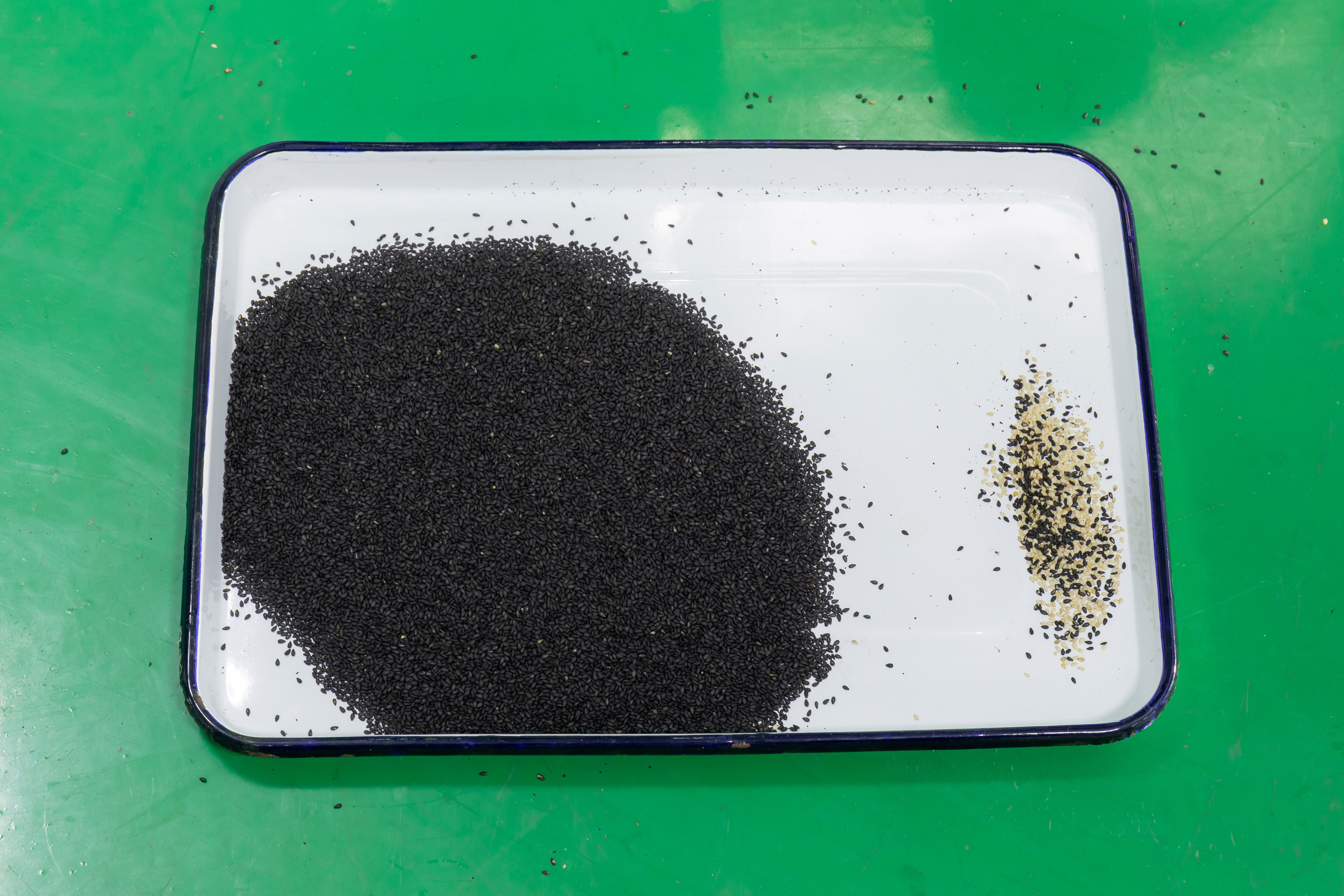 Sesame Seeds Color Sorting Machine/Lotus Seed Color Sorter/Sunflower Seeds Color Sorting Machine