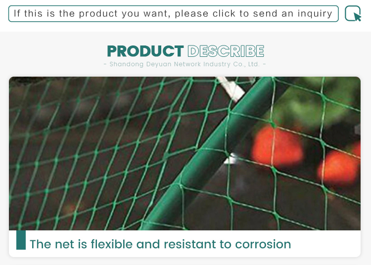 factory price pe farm plastic nets garden orchard anti bird net