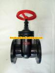 BS flanged gate valve with metal seal