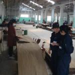 Smoking Sapele Pommele Engineered Wood Veneer 2500-3100 mm Lengthened Size